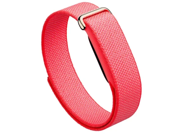 Google Fitbit Air Fitness Tracker Berry